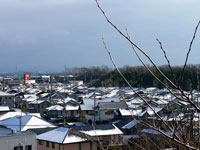 枯れ木と雪が残る町の冬景色