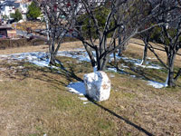 雪の塊と枯れ木の冬景色