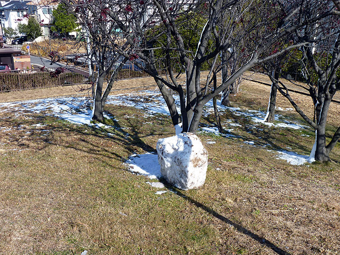 雪の塊と枯れ木の冬景色の拡大写真