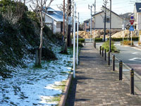 歩道と雪の冬景色