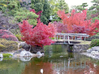 橋と川と紅葉・植物の風景