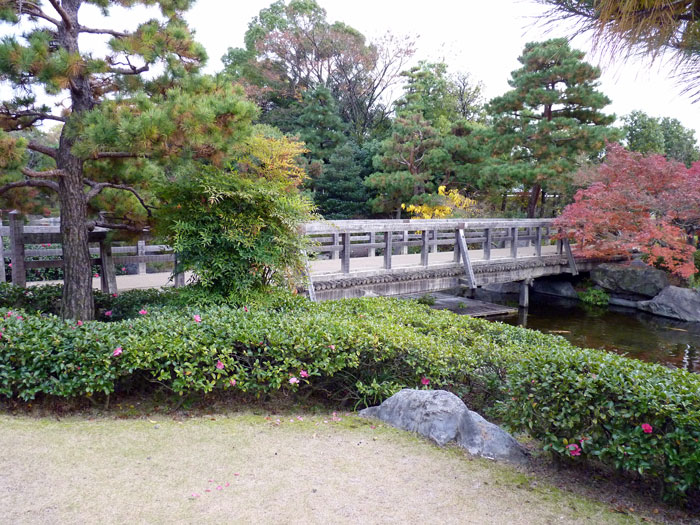 木の橋と小川とたくさんの植物の風景の拡大写真