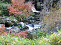自然の滝と川といろとりどりの植物の風景