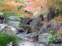 自然と紅葉と小川