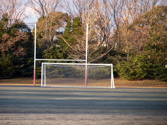 サッカー場とゴールネットと冬の植物たちの拡大写真