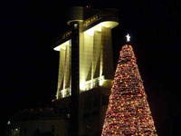ライトアップされた建物と綺麗なクリスマスツリー