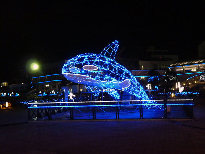 イルカと魚の綺麗なイルミネーションと夜景の拡大写真