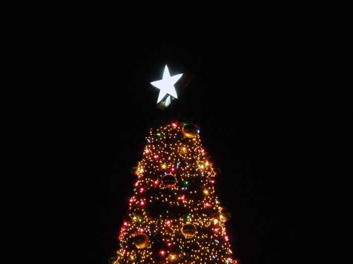 ツリーと星のクリスマスイルミネーションの写真素材フリー 高画質