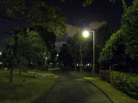 夜の公園の散歩道と街路灯と植物その２