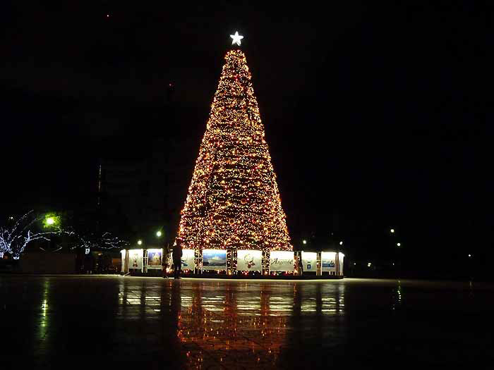 クリスマスツリーのイルミネーションの写真素材フリー 高画質